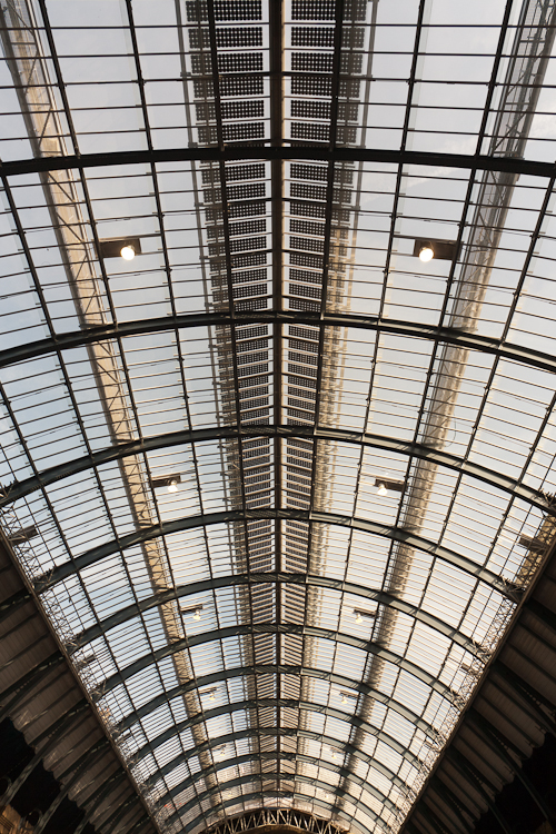 View of the new train shed roof from the central platforms
